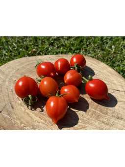 Piennolo Del Vesuvio