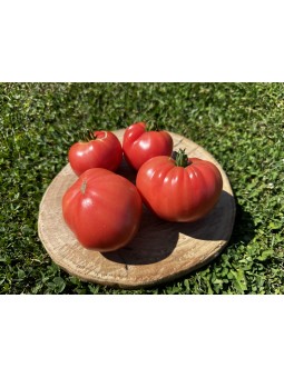 Miel de l'Altaï Rose