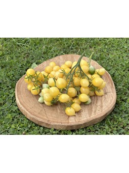 Barry's Crazy Cherry