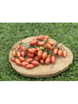 ARTISAN™ Pink Tiger