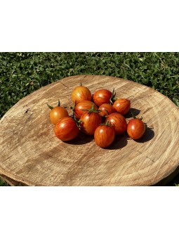 ARTISAN™ Golden Bumble Bee