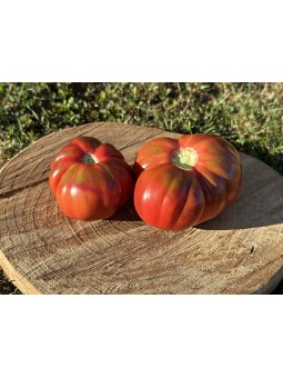 Negrillo de Almoguera