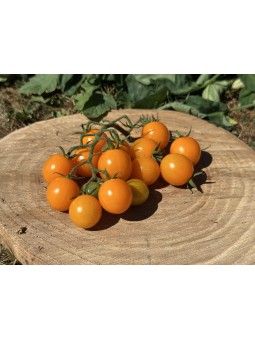 Madeline's Vine Candy