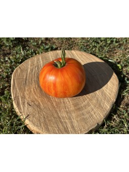 Domaine Saint-Jean de...