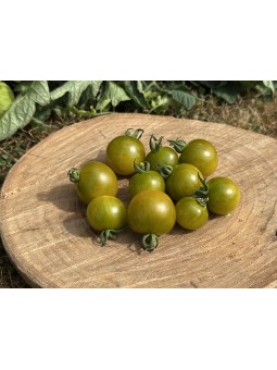 Green Doctor's Frosted